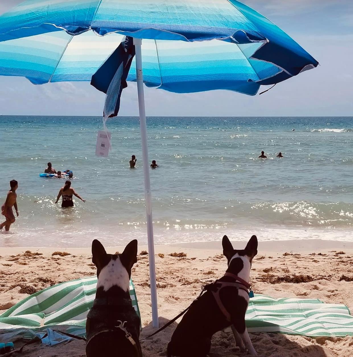 Apartamento Steps To Sea Miami Beach Free Parking Pet & Family Friendly Exterior foto